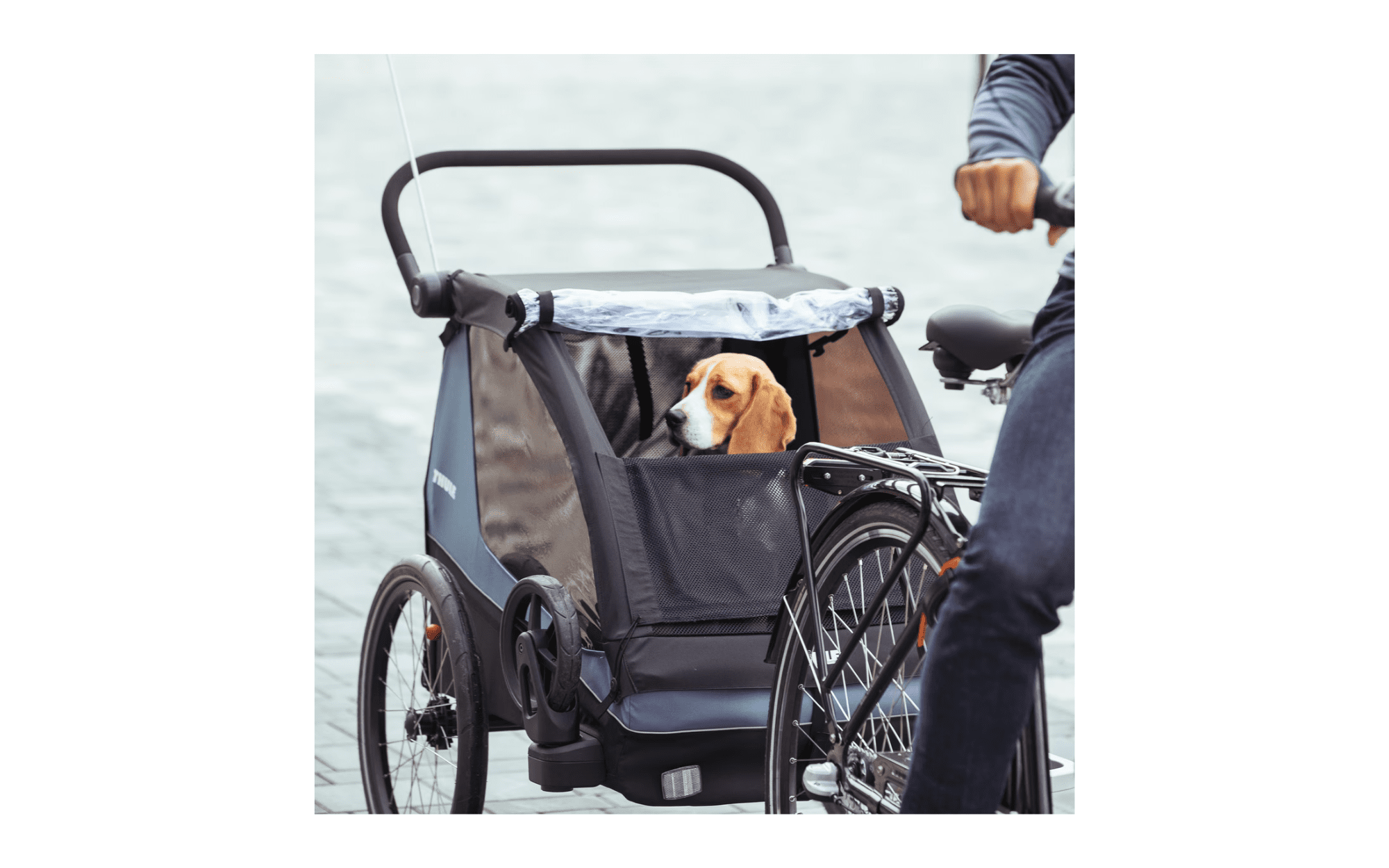 <strong>THULE</strong> Courier (2 Kids & Cargo) – Bild 4